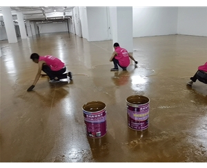 福建漳州同濟(jì)醫(yī)院地下室環(huán)氧樹(shù)脂地坪